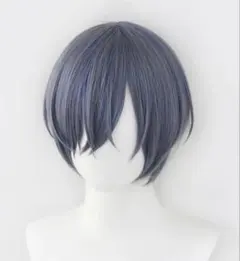 コスプレウィッグ ショート ブルーグレー