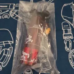 ディズニーランド ポップコーントング