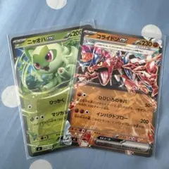 ニャオハex、コライドンex 、テツノイバラex、ミライドンexノーマル仕様4枚