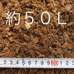 코코 칩스 코코넛 허스크 칩, 파인 그레인 50L