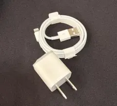 【新品】Lightning to USB & ACアダプター（Apple純正）