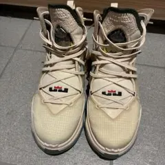 Nike LeBron 20 バスケットシューズ