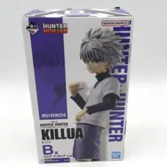 2026年最新】b賞 キルアの人気アイテム - メルカリ