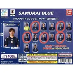 SAMURAI BLUE クリアファイルコレクション