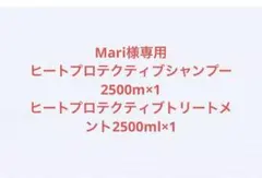 mari様専用ヒートプロテクティブシャンプー&トリートメント2500