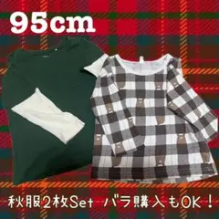 95cm 秋服 2枚セット Tシャツ【バラ購入も可能】