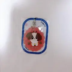 GMMTV GASHA VIMMY POPUP STORE FUKUOKA