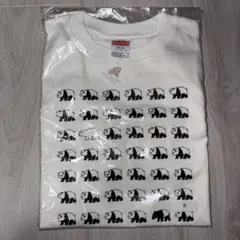 Item thumbnail for item 55c34e4b-d6e1-46ba-9acb-5256ed812a66