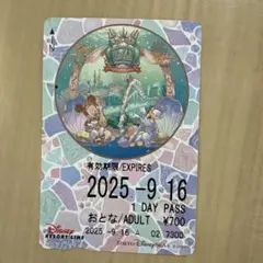 東京ディズニーリゾートライン フリーきっぷ