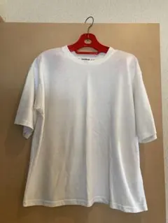 Item thumbnail for item 2d2d6565-1164-404e-8e97-a4a5ec11a218