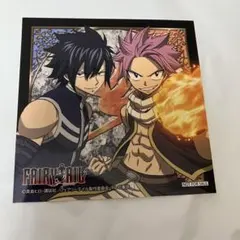 フェアリーテイル FAIRYTAIL ナツ 缶バッジ ナツ・ドラグニル セット FAIRY TAIL フェアリーテイル 真島ヒロ 缶バッジ ナツ ・ ドラニグル
