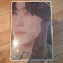 GOT7 JAYB TR.EE☆INTERLUDE Ver. 新品未開封
