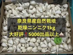 ✩農薬不使用 兵庫県産 生にんにく 新ニンニク SS-Sサイズ 約1kg