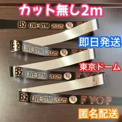 B’z LIVE-GYM 2025 FYOP 銀テープ 2m