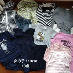 女児 110cm まとめ売り 13点