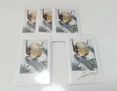 緋八マナ welcome goods チェキ風カード