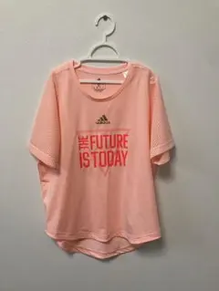 Item thumbnail for item df873787-2704-4383-8488-7adaaf3946d0