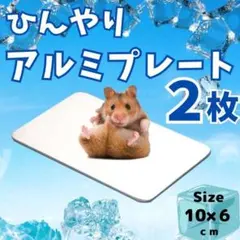 ２枚 冷感 アルミプレート ひんやり ハムスター アルミプレート クール マットのサムネイル