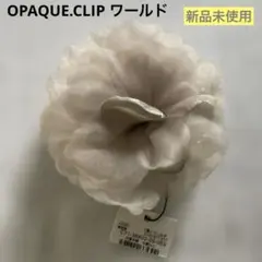 Item thumbnail for item 20df2a05-336a-4e21-944f-13415f9136ed