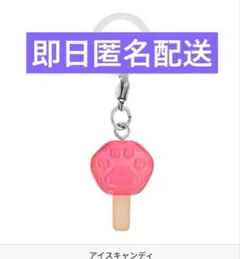 【アイスキャンディ】ズートピア めじるしアクセサリー③