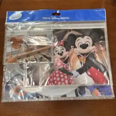 新品未使用　ディズニーリゾート　実写　ファスナー付きケース　3枚セット
