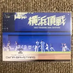 ㉙BBMベースボールカード2023　横浜DeNAベイスターズチームチェックリスト