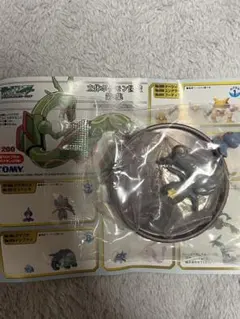 ポケモン 立体ポケモン図鑑　カゲボウズ　ジュペッタ