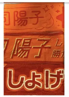日向坂46 福袋2026 正源司陽子 ビッグタオル - メルカリ
