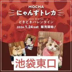 バラ売り可】にゃんずトレカ 渋谷公園通り店 いちご収穫祭 2026 春