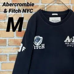 Abercrombie&Fitch 長袖 Tシャツ ロンT 刺繍 ワッペン ロゴ