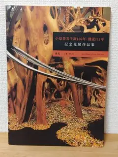 ヘルマン・ヘッセ 生誕100年記念展 カタログ 希少 ヘルマン・ヘッセ展図録 : 生誕100年記念 / 古本、中古本、古
