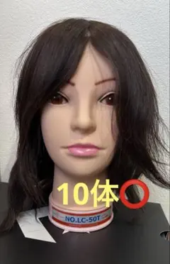 2026年最新】国家試験 カットウィッグの人気アイテム - メルカリ