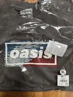 新品】oasis live '25 Tシャツ XL グレー 富士山 - メルカリ