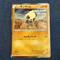 ヤンチャム プロモ ポケカ エクストラ