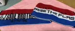 三代目 J SOUL BROTHERS RAISE THE FLAG タオルのサムネイル