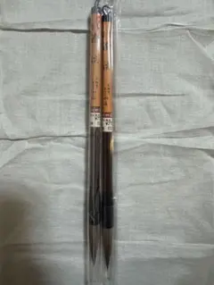 Item thumbnail for item 93f0d06c-7c3c-44db-ae8b-266592e60d5c