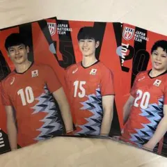 バレーボール男子日本代表　クリアファイルコレクション