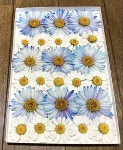 なみ様 リクエスト 4点 まとめ商品