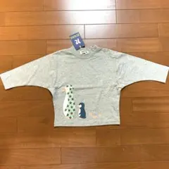 Item thumbnail for item 6fcfc59d-2153-4d8d-ba39-90286ec0180d