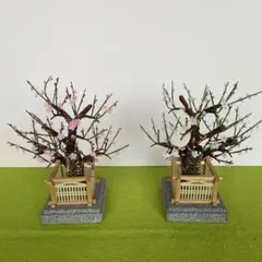 Item thumbnail for item 631d1582-d84e-41e3-bc72-2ed521552a92