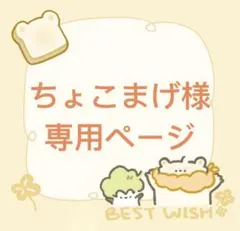 サーモンスクイーズ新品即購入ok