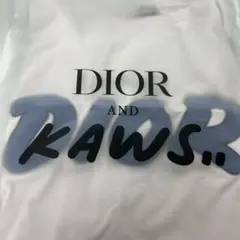 2025年最新】dior kaws tシャツの人気アイテム - メルカリ