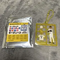 ソフトバンクホークス 近藤健介