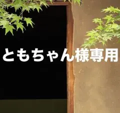 ともちゃん様 リクエスト 2点 まとめ商品