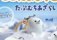 ここだよますこっと　たぷむちあざらし　ガチャガチャ　めじるしアクセサリー