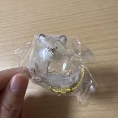 うちの子のけだまだま　黒柴