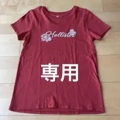 HOLLISTER ホリスター Tシャツ クラッシックフィット