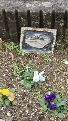 Item thumbnail for item 2999eceb-ca7f-4c0a-b17c-95bddb276687