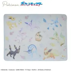 猫様 リクエスト 2点 まとめ商品