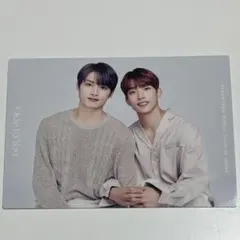 seventeen セブチ　トレカ　ドギョム　ジュン　ode to you